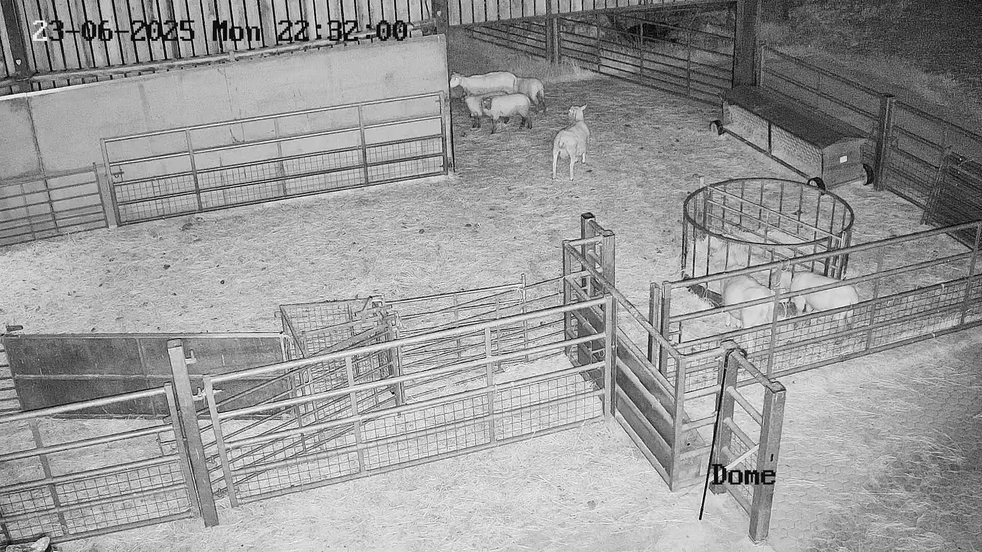 Latest image from camera